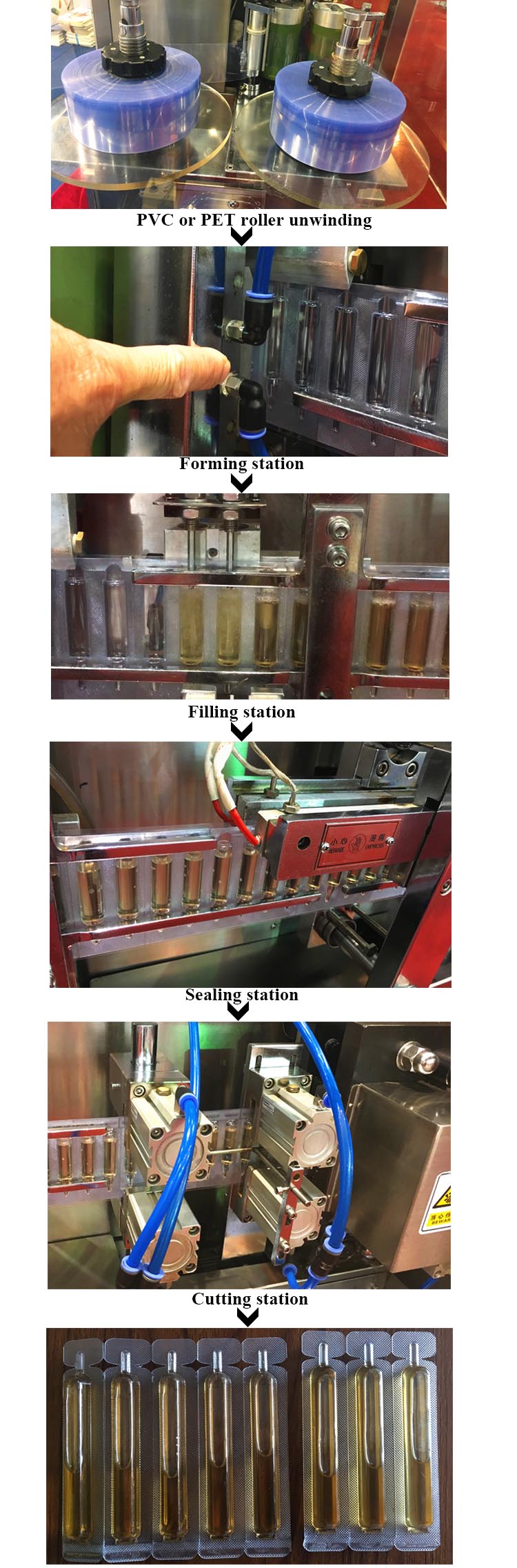 عملية منتجات الختم أمبول البلاستيك